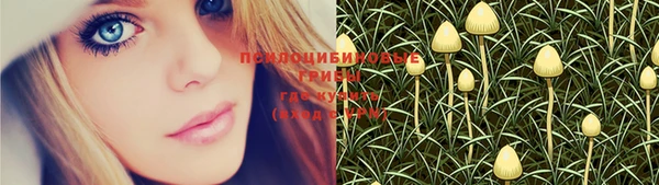 apvp Абинск