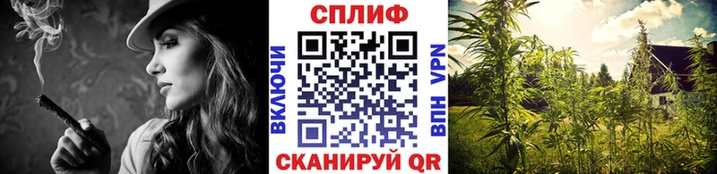 кракен ТОР  Клинцы  МАРИХУАНА Bruce Banner  площадка телеграм  хочу  